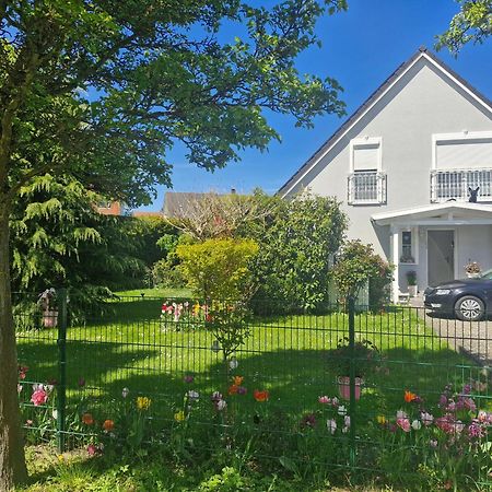 Lilly & Fine Apartment Zingst Bagian luar foto