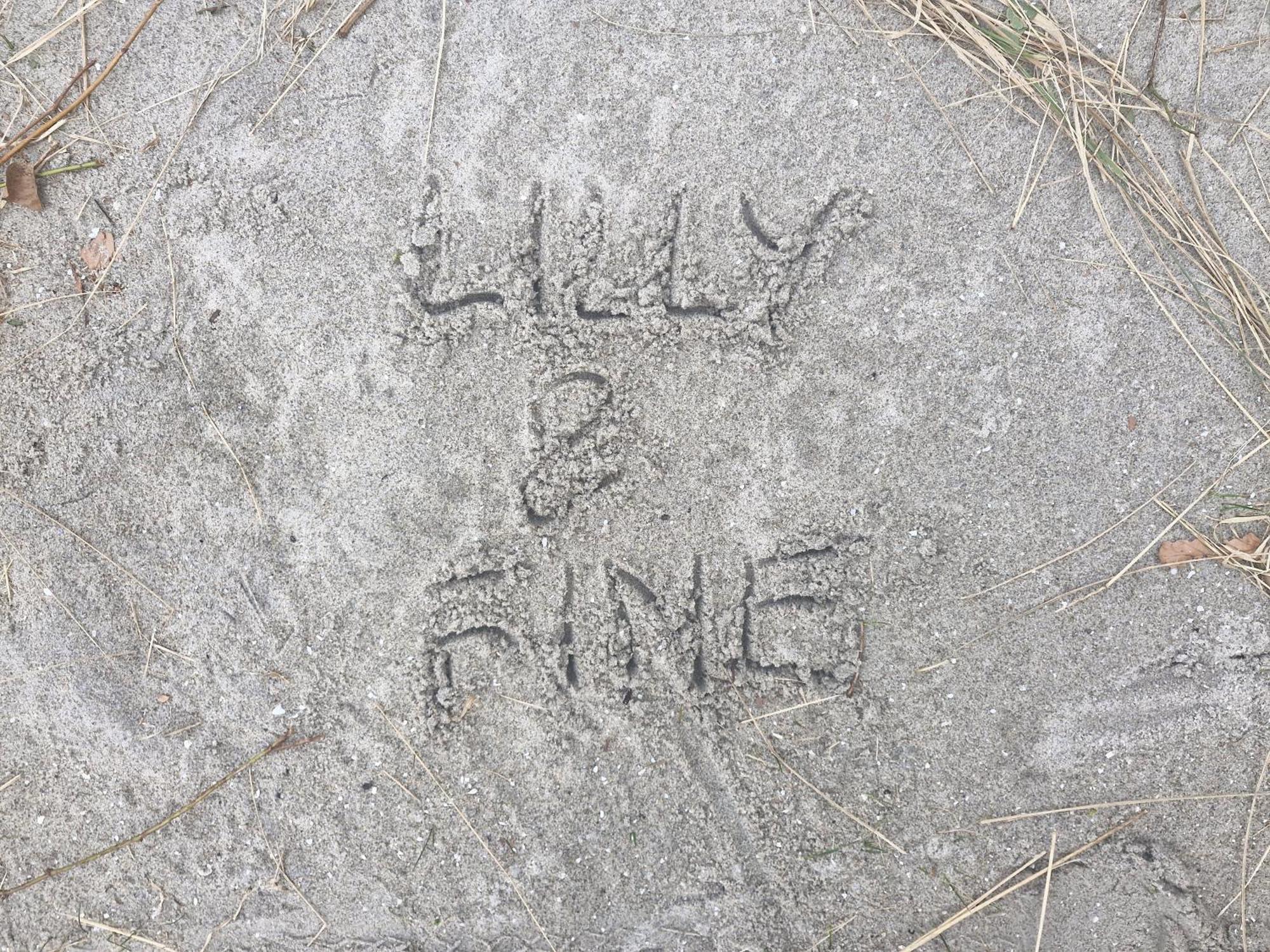 Lilly & Fine Apartment Zingst Bagian luar foto