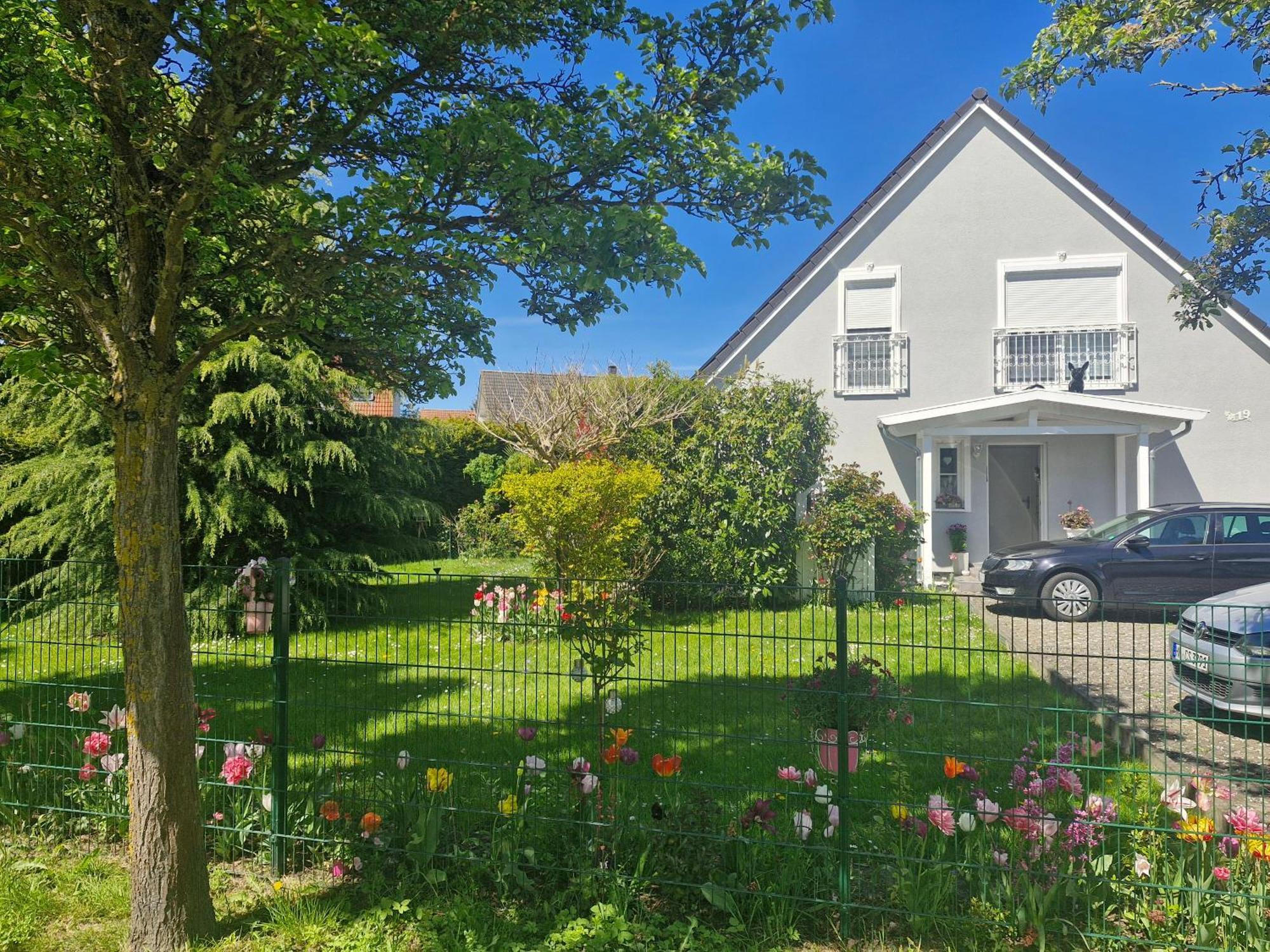 Lilly & Fine Apartment Zingst Bagian luar foto