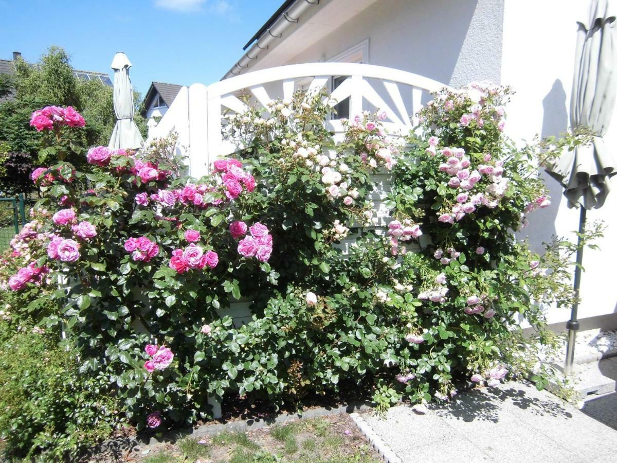 Lilly & Fine Apartment Zingst Bagian luar foto